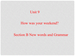 河南省鄭州市第九十六中七年級英語 Unit9 How was your weekend Section B New words and Grammar參考課件 人教新目標(biāo)版