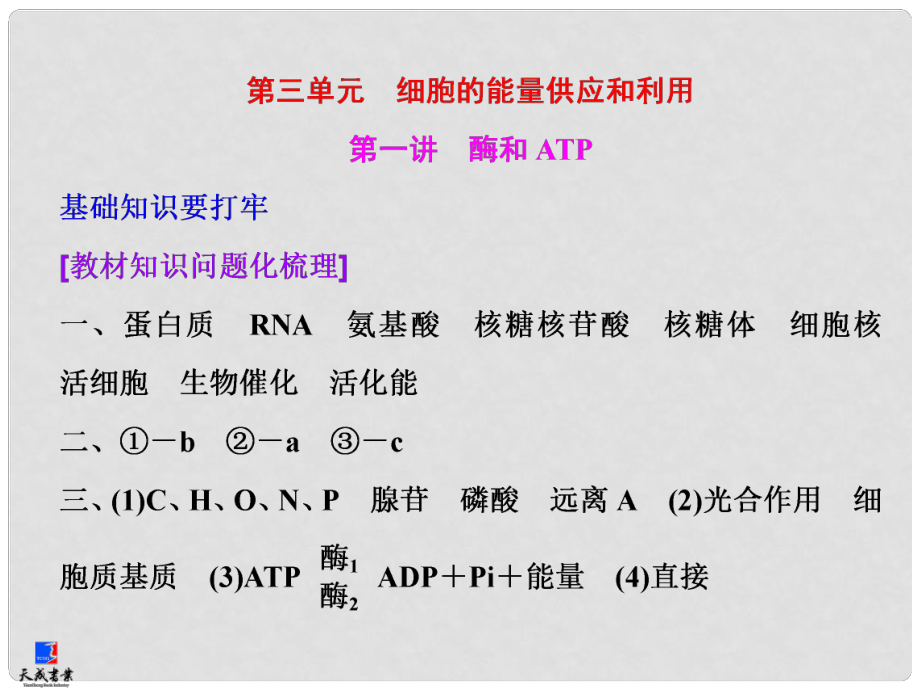 高考生物一輪復(fù)習(xí) 第三單元 第一講 酶和ATP課件 新人教版必修1_第1頁