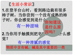 九年級(jí)化學(xué)下冊(cè) 第十單元課題1 常見的堿課件 新人教版