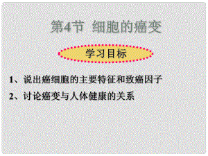 河北省石家莊一中高中生物《64 細(xì)胞的癌變》課件 新人教版必修1