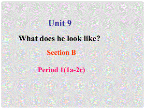 七年級英語下冊 unit 9 What does he look like Section B(1a2c)課件 （新版）人教新目標版