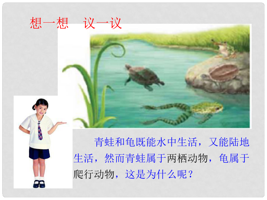 湖北省麻城市集美學(xué)校八年級(jí)生物上冊(cè) 第一章 兩棲動(dòng)物和爬行動(dòng)物課件 （新版）新人教版_第1頁