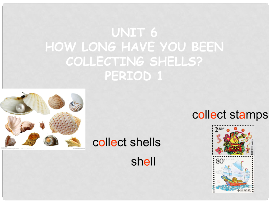 浙江省温州市第二十中学八年级英语下册 Unit 6 How long have you been collecting shells Period 1课件2 人教新目标版_第1页