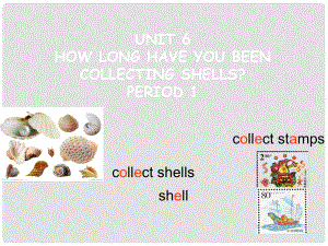 浙江省溫州市第二十中學(xué)八年級(jí)英語下冊 Unit 6 How long have you been collecting shells Period 1課件2 人教新目標(biāo)版