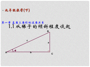 福建省云霄城關中學九年級數(shù)學上冊 直角三角形的邊角關系教學課件 北師大版