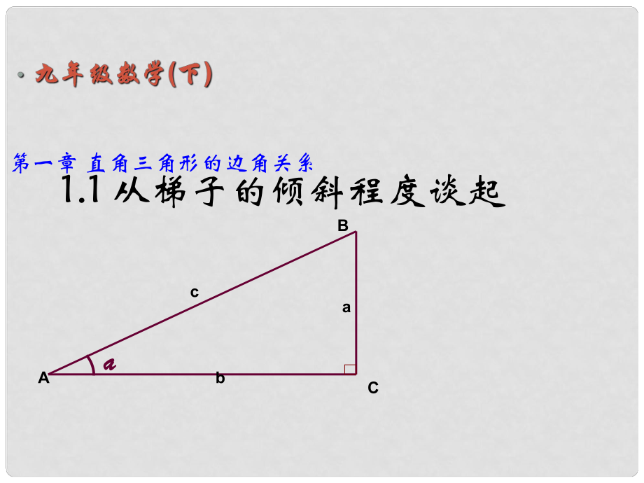 福建省云霄城關中學九年級數學上冊 直角三角形的邊角關系教學課件 北師大版_第1頁