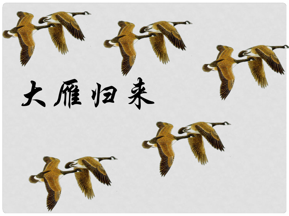 湖南省瀏陽(yáng)市赤馬初級(jí)中學(xué)八年級(jí)語(yǔ)文下冊(cè) 14 大雁歸來(lái)課件 新人教版_第1頁(yè)