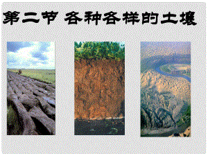 浙江省泰顺县新城学校八年级科学下册《3.2 各种各样的土壤》课件 浙教版