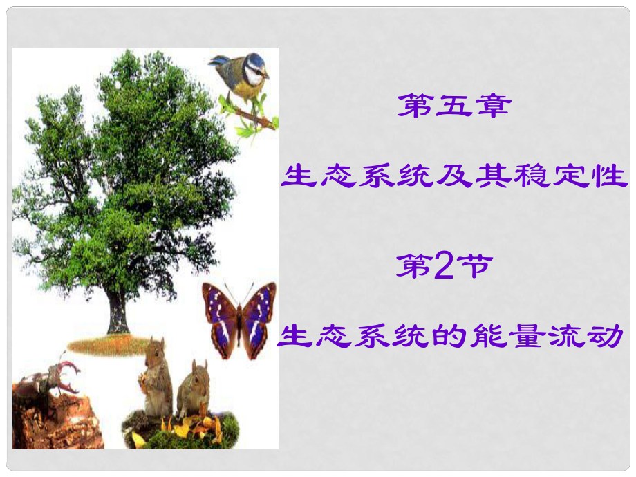 江西省樂(lè)安一中高二生物 生態(tài)系統(tǒng)的能量流動(dòng)課件 人教版_第1頁(yè)