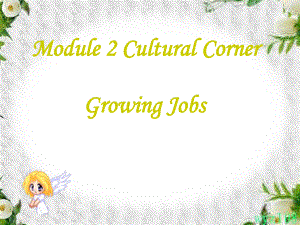 四川省宣漢縣第二中學(xué)高中英語 Module 2 Cultural Corner課件 新人教版選修6