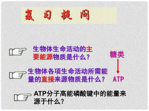 高中生物 分子與細(xì)胞 第5章 細(xì)胞的能量供應(yīng)和利用 第3節(jié) ATP的主要來源 細(xì)胞呼吸課件 新人教版必修1