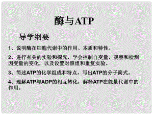 浙江省新安江中學(xué)高三生物《酶與ATP》 課件