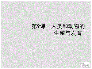 廣東省深圳市福田云頂學(xué)校中考生物總復(fù)習(xí) 第9課 人類和動物的生殖與發(fā)育課件