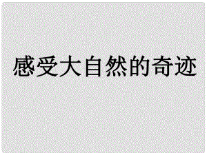 黑龍江哈爾濱市第四十一中學(xué)九年級(jí)語文上冊(cè) 地底森林的斷想課件 新人教版