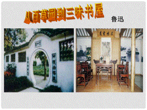 福建省龍巖市廬豐民族中學(xué)七年級語文下冊 從百草園到三味書屋教學(xué)課件 新人教版