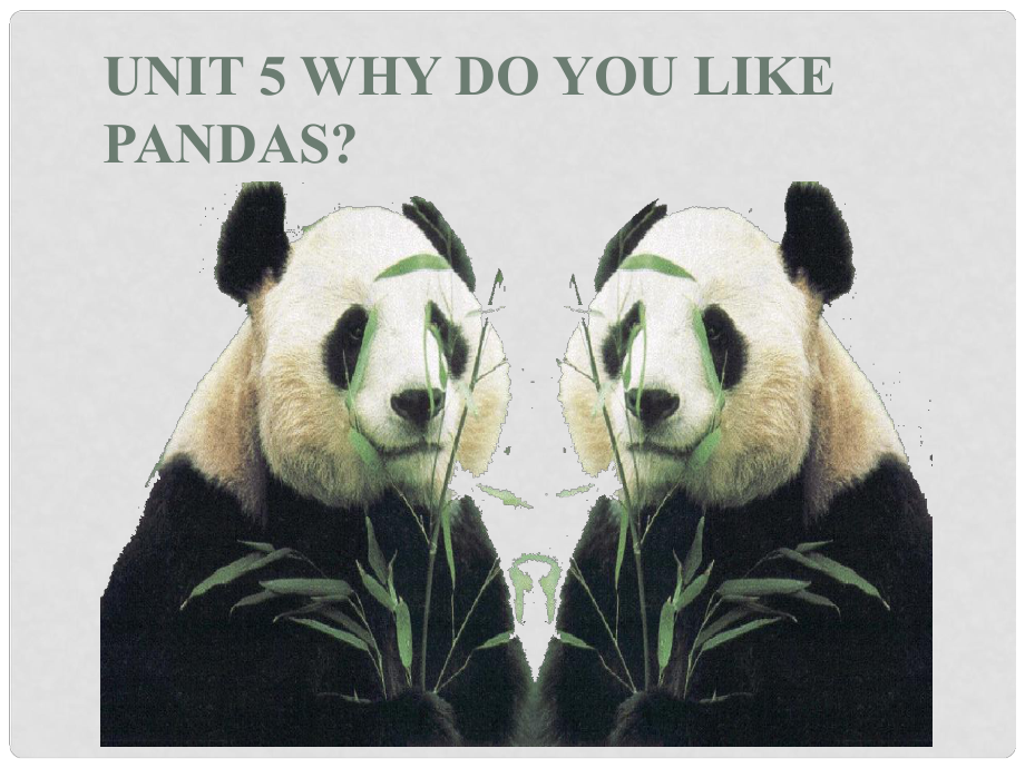 山東省滕州市滕西中學(xué)七年級(jí)英語(yǔ)下冊(cè) Unit 5 Why do you like pandas Section A 1a1c課件 （新版）人教新目標(biāo)版_第1頁(yè)