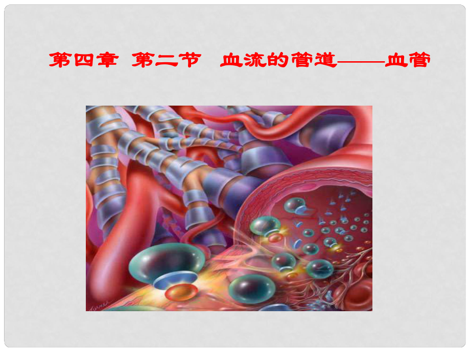 山東省淄博市桓臺縣起鳳中學(xué)八年級生物上冊 4.2 血流的管道 血管_第1頁