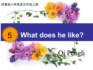 科普版英語(yǔ)五上Lesson 5What does he like課件6