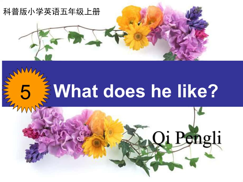 科普版英语五上Lesson 5What does he like课件6_第1页