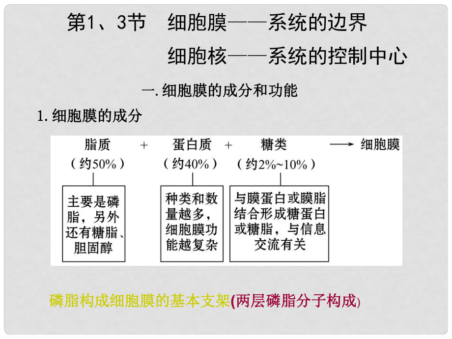 高考生物一輪復習 細胞膜與細胞核課件_第1頁