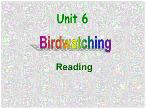 江蘇省揚中市同德中學(xué)八年級英語上冊 8A Unit 6 Birdwatchers課件1 （新版）牛津版