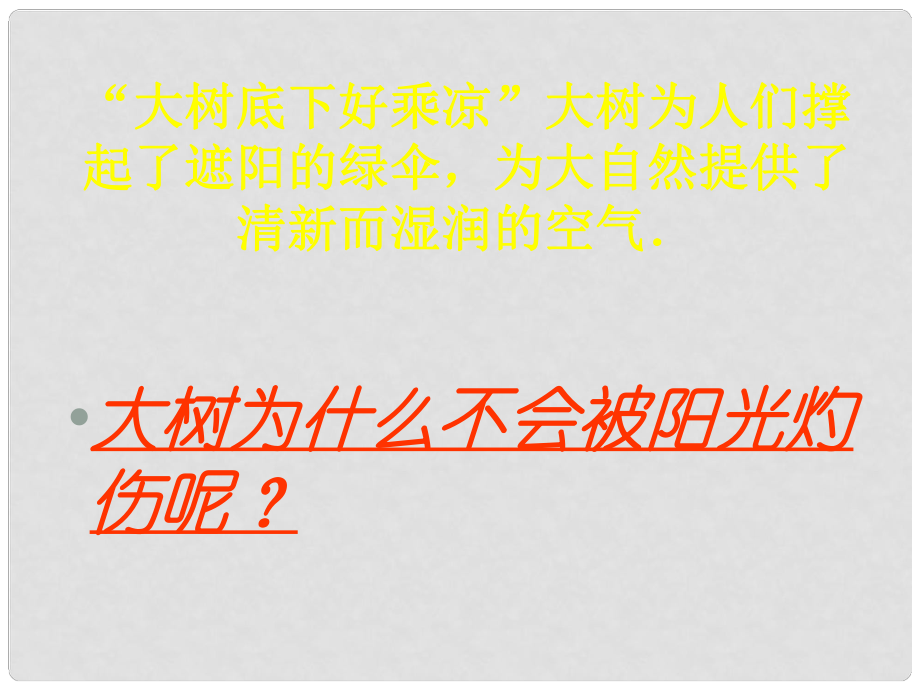 七年級(jí)生物上冊(cè) 第二節(jié) 綠色植物的蒸騰作用課件 濟(jì)南版_第1頁(yè)