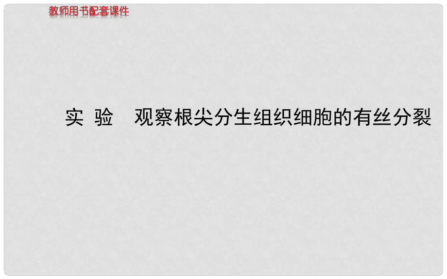 高三生物總復習 6實驗 觀察根尖分生組織細胞的有絲分裂課件 新人教版必修1_第1頁