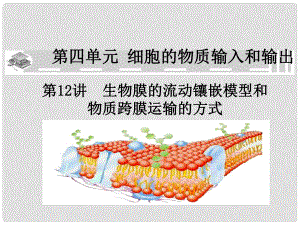 高中生物《第四章 第三節(jié) 物質(zhì)跨膜運(yùn)輸?shù)姆绞健氛n件2 新人教版必修1