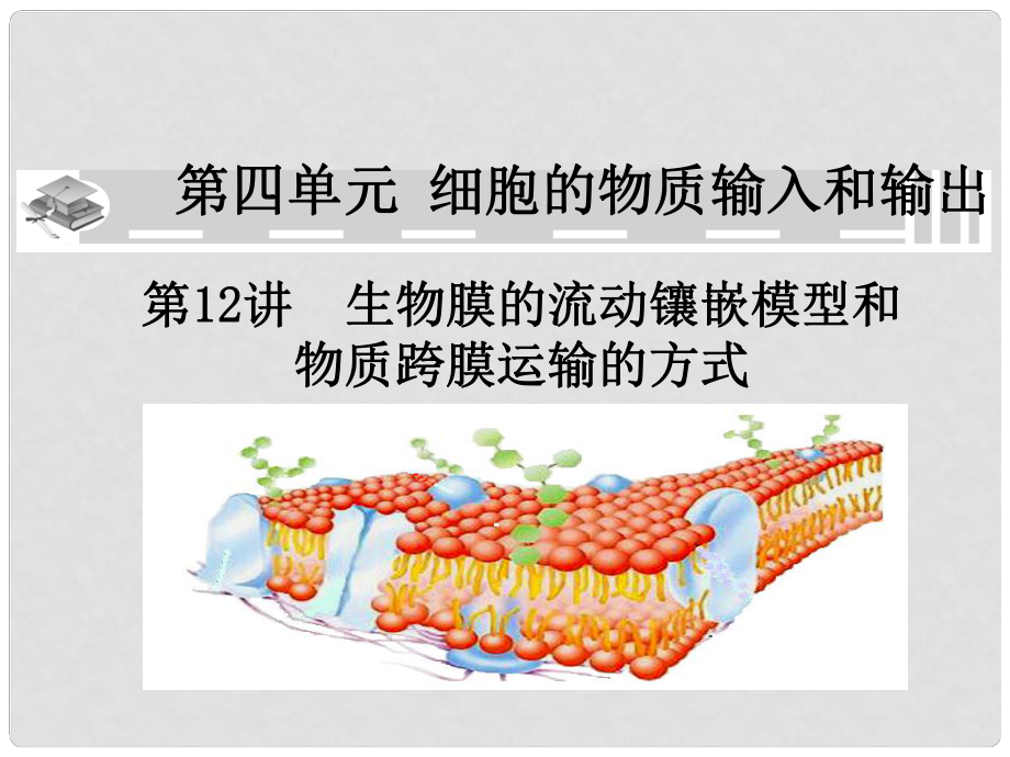 高中生物《第四章 第三節(jié) 物質(zhì)跨膜運輸?shù)姆绞健氛n件2 新人教版必修1_第1頁