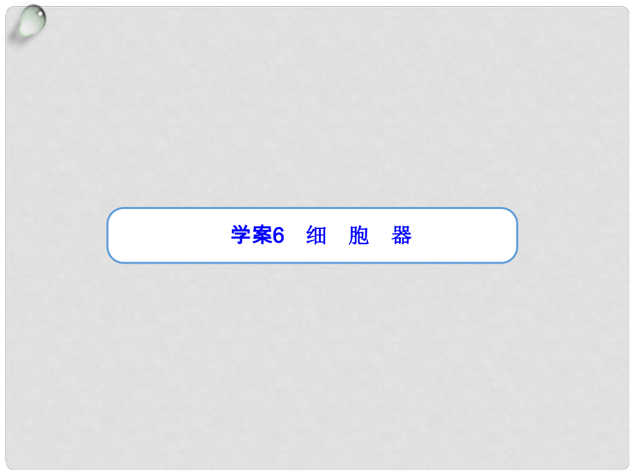 高考生物一輪復(fù)習(xí)“學(xué)案”第6講 細(xì)胞器課件 新人教版_第1頁