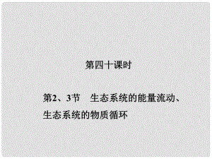 新高考第一輪總復(fù)習(xí) 第四十課時 第2、3節(jié) 生態(tài)系統(tǒng)的能量流動、生態(tài)系統(tǒng)的物質(zhì)循環(huán)課件 新人教版必修3