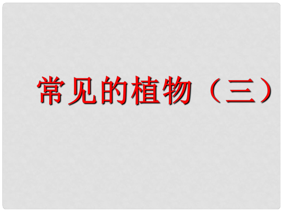 浙江省溫州市平陽(yáng)縣鰲江鎮(zhèn)第三中學(xué)七年級(jí)科學(xué)上冊(cè) 常見(jiàn)的植物（第三課時(shí)）課件 浙教版_第1頁(yè)