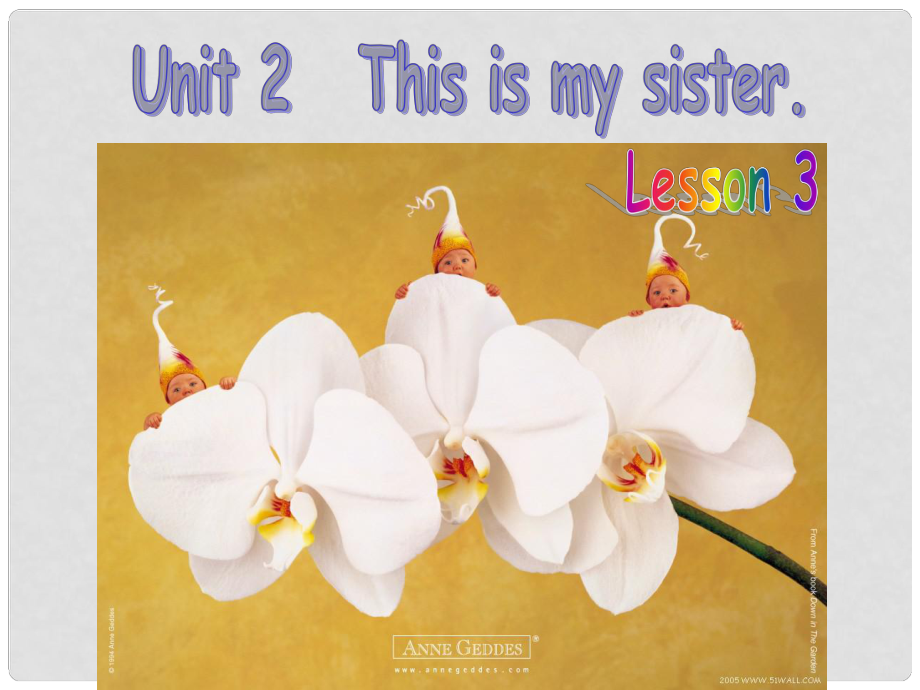 浙江省富阳市大源中学七年级英语上册《Unit 2 This is my sister.Lesson 3》课件（2） （新版）人教新目标版_第1页