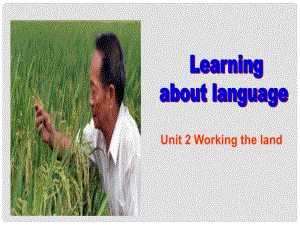 浙江省天臺縣平橋第二中學(xué)高中英語 Unit 2 learning about language課件 新人教版必修4