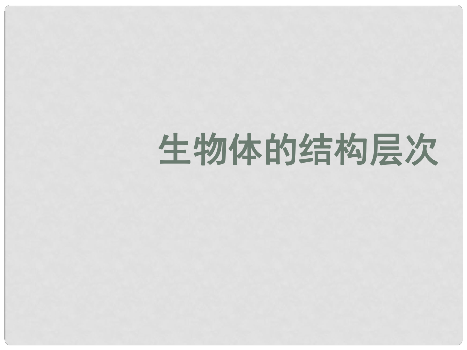 七年級生物上冊 生物體的結構層次課件 濟南版_第1頁