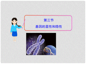 湖北省武漢為明實驗學(xué)校八年級生物下冊 基因的顯性和隱性課件 新人教版