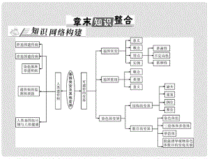 高考生物總復(fù)習(xí) 第5章 章末知識(shí)整合課件 新人教版必修2