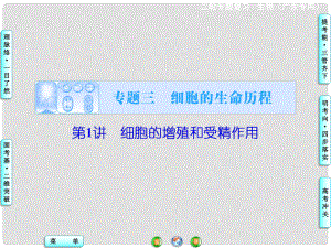 高考生物二輪復(fù)習(xí) 專(zhuān)題講練突破 專(zhuān)題3 第1講 細(xì)胞的增值和受精作用課件
