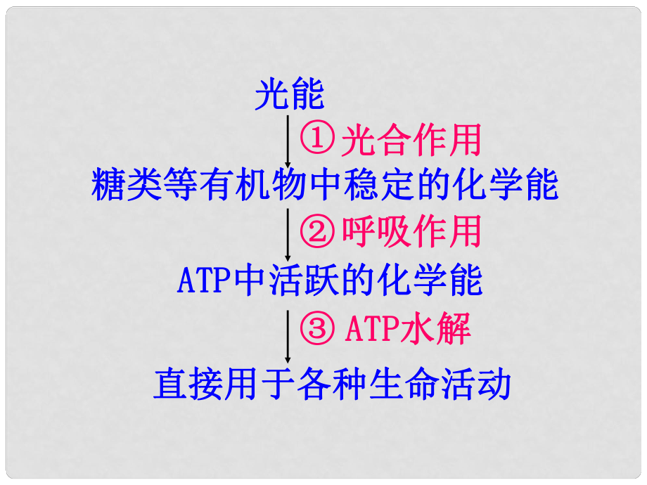 安徽省滁州二中高中生物 细胞呼吸课件 新人教版必修1_第1页