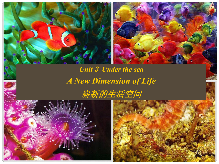 山東省新泰市第二中學(xué)高中英語(yǔ)《Unit 3 Under the sea A New Dimension of Life》課件 外研版選修7_第1頁(yè)