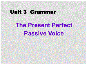 浙江省高中英語 Unit3 Grammar課件 新人教版必修2