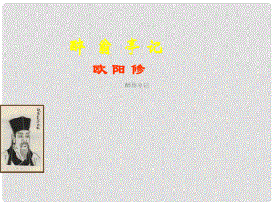 黑龍江哈爾濱市第四十一中學(xué)九年級語文上冊 醉翁亭風(fēng)光課件 新人教版