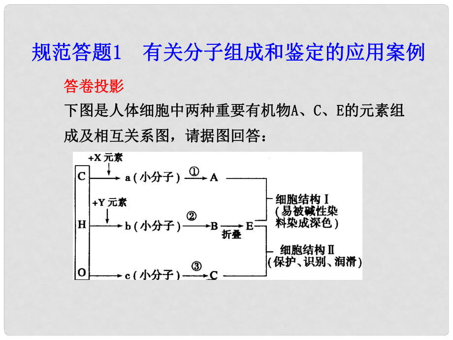 高考生物 答題規(guī)范 有關(guān)分子組成和鑒定的應(yīng)用案例教學(xué)課件 新人教版_第1頁