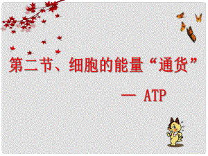 江西省樂安一中高一生物 細(xì)胞的能量“通貨”ATP課件