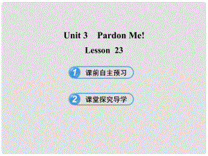 九年級英語下冊 Unit 3 Pardon Me！Lesson 23課件 冀教版