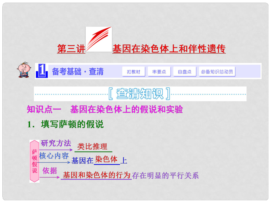 高考生物一輪復習 第三講 基因在染色體上和伴性遺傳課件 新人教版必修2_第1頁