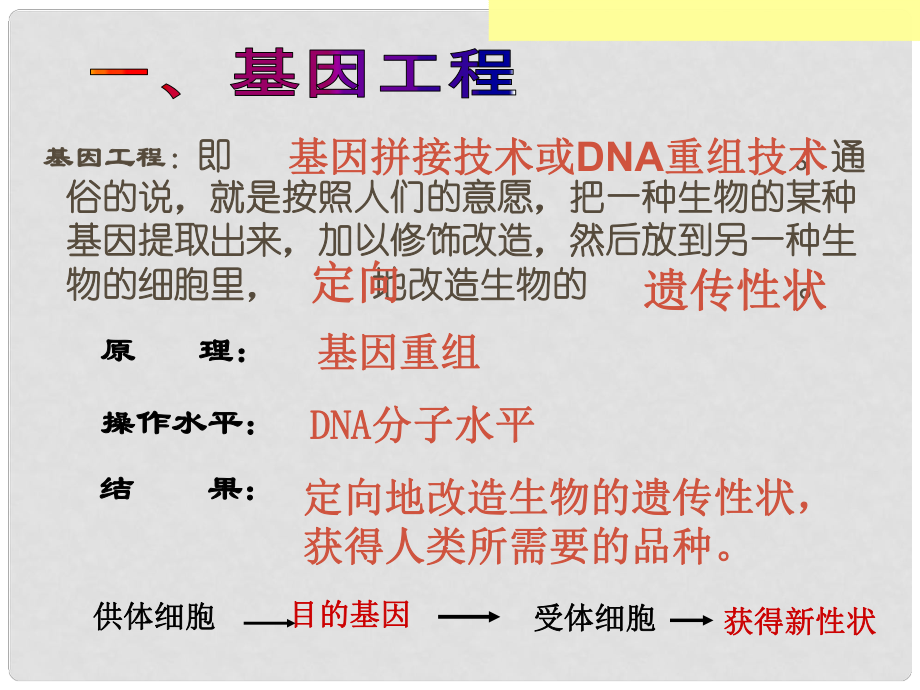 高中生物必修2 基因工程課件_第1頁