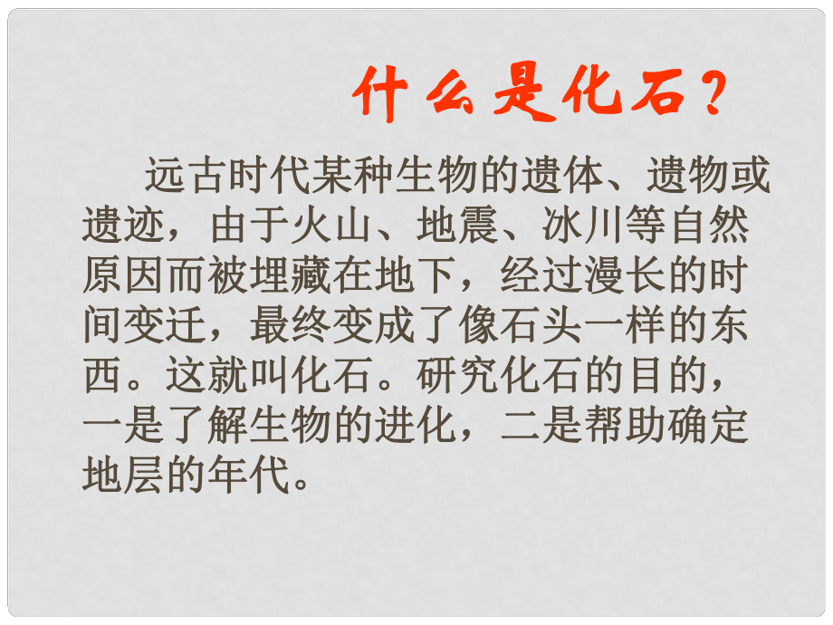 吉林省東遼縣第一高級(jí)中學(xué)七年級(jí)語文上冊 化石吟課件 新人教版_第1頁