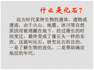 吉林省東遼縣第一高級(jí)中學(xué)七年級(jí)語(yǔ)文上冊(cè) 化石吟課件 新人教版