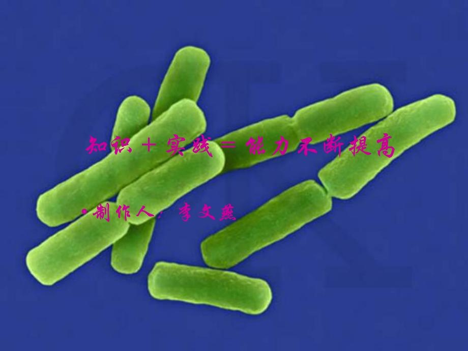 九年級生物 尿的形成和排出 ppt_第1頁